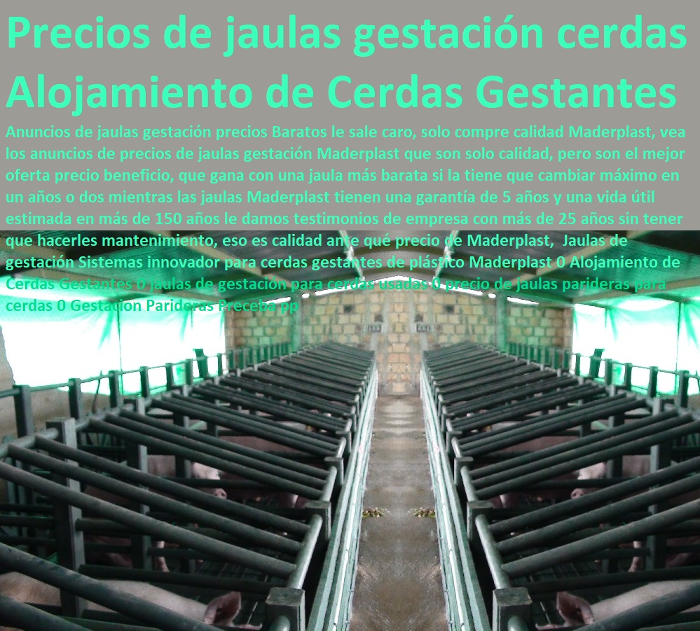 Jaulas de gestación Sistemas innovador para cerdas gestantes de plástico Maderplast 0 Alojamiento de Cerdas Gestantes 0 jaulas de gestación para cerdas usadas 0 precio de jaulas parideras para cerdas 0 Gestacion Parideras Preceba pp Jaulas de gestación Sistemas innovador para cerdas porcicultura jaulas, corrales, parideras, porcinas corral, gestación cerdas, parto cerda, lechonera, destete, jaula pre ceba porcinos, corraleja, ceba, engorde cerdos, porqueriza cría de lechones, pisos jaulas comederos, gestantes de plástico Maderplast 0 Alojamiento de Cerdas Gestantes 0 jaulas de gestación para cerdas usadas 0 precio de jaulas parideras para cerdas 0 Gestacion Parideras Preceba pp